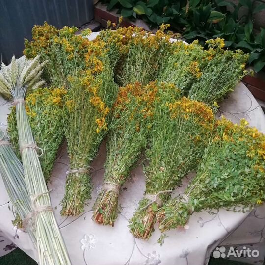 Зверобой, душица