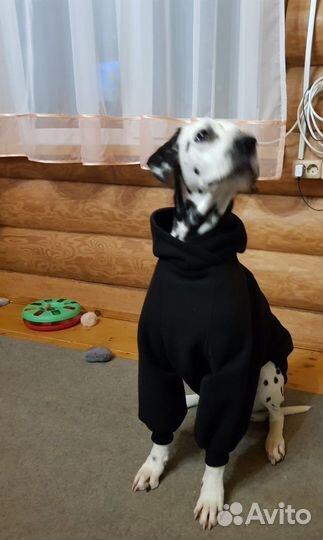Одежда худи для собак на заказ