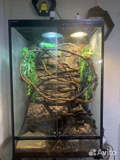 Террариум 60х45х90