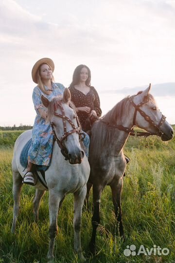 Конные прогулки