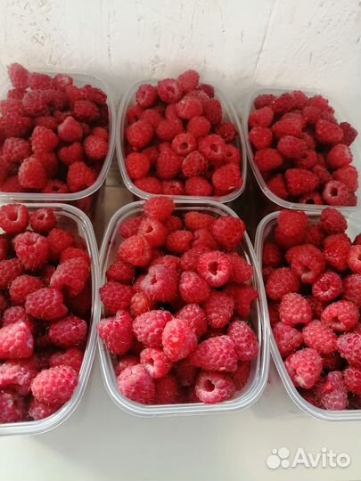 Малина свежая