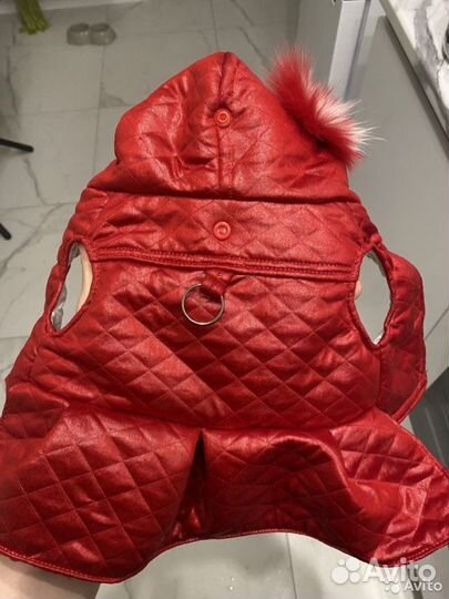 Одежда для собак