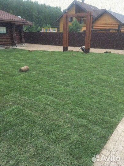 Рулонные газоны