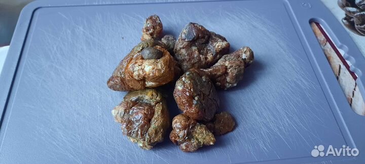 Прополис пчелиный