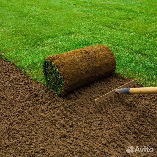 Рулонный газон с доставкой