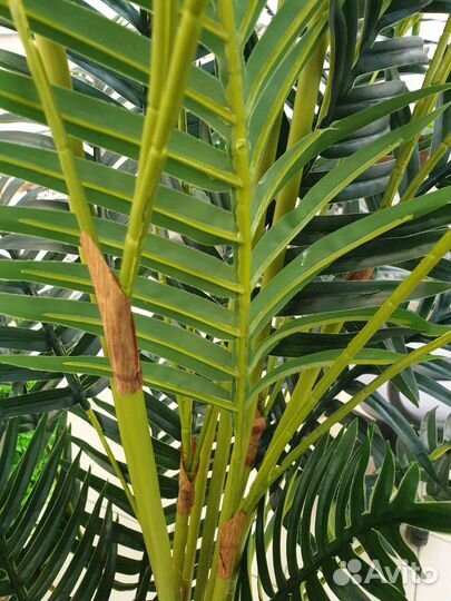 Искусственная пальма