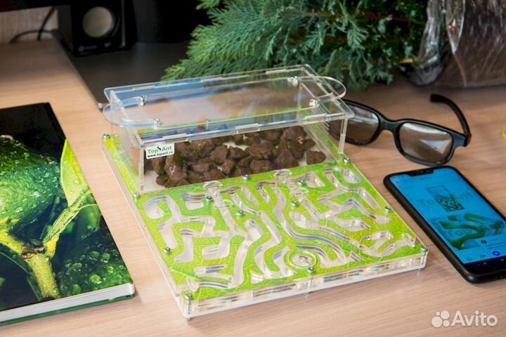 Формикарий/ Подарок для ребенка/ Муравьиная ферма
