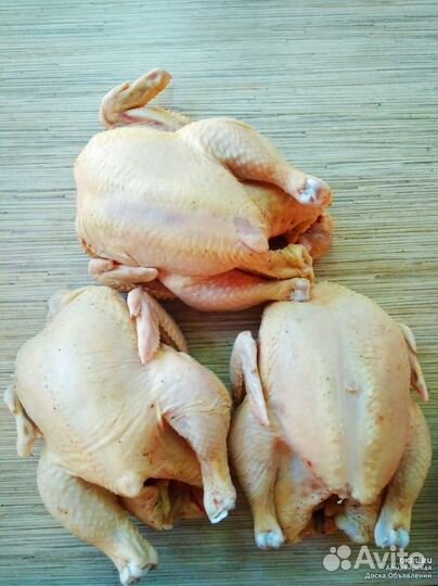 Куры бройлеры тушки мясо