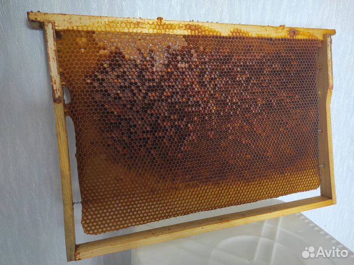 Сушь для пчел