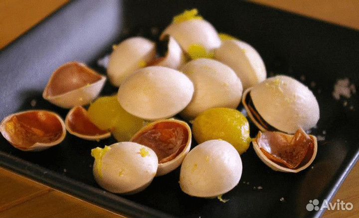 Гинкго билоба саженцы