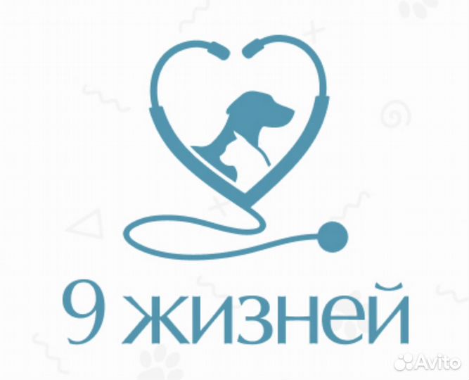 Администратор / специалист колл-центра