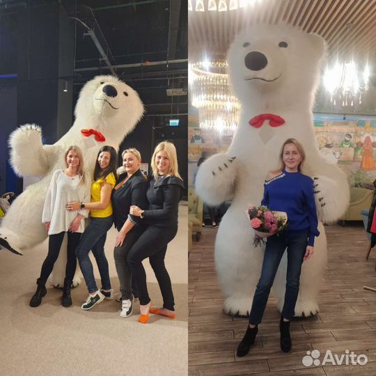 Белый мишка, панда поздравление