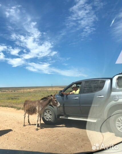 Экскурсии по Крыму из Евпатории