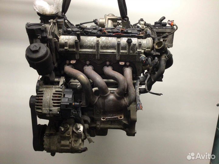 Двигатель Volkswagen Golf Blf 1.6 FSI бензин