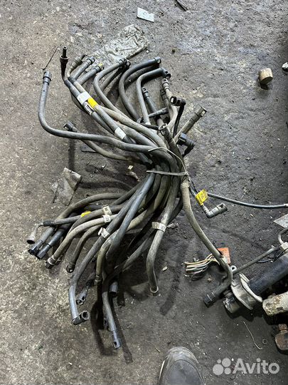 Daewoo nexia бензотрубка