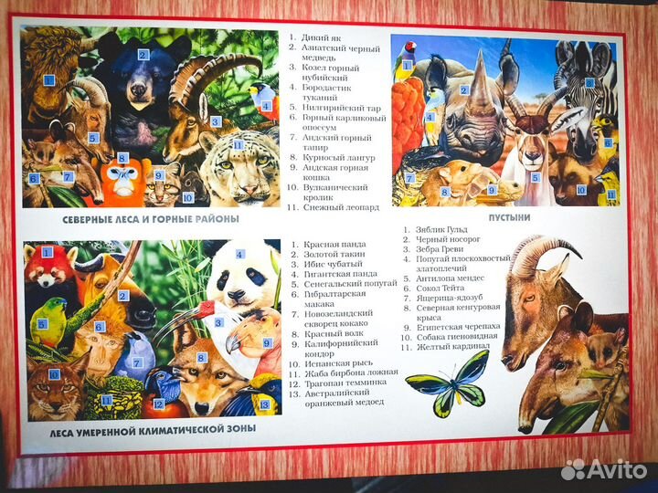 Книги с пазлами
