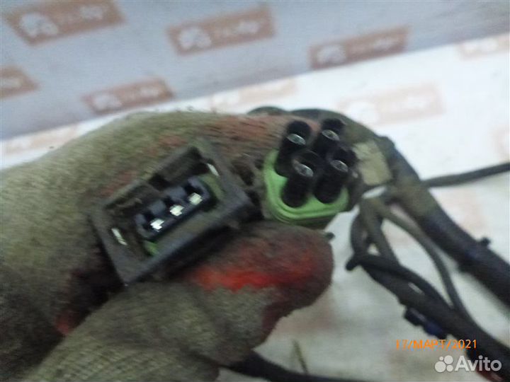 Проводка моторного отсека Лада 2114 хэтчбек 5 дв