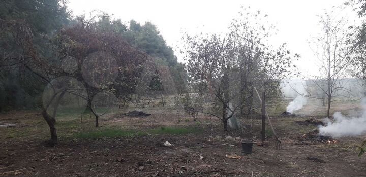 Дом 74,6 м² на участке 50 сот.