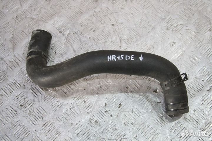Патрубок радиатора нижний Nissan Juke F15 1.5 1.6л