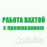Упаковщик/Вахта Москва 15/15 /Еженедельные Выплаты