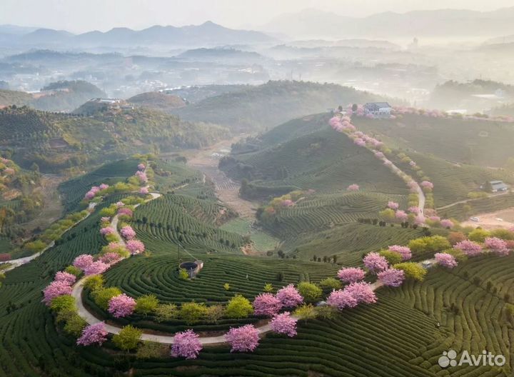 Relax-тур в Китай от 6 дн