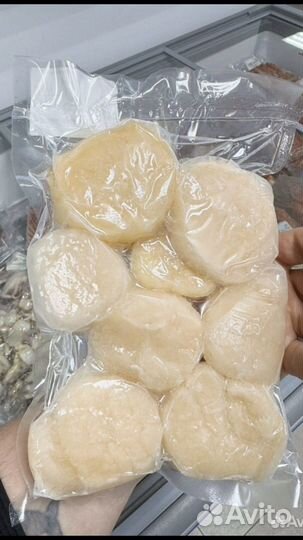 Филе морского гребешка