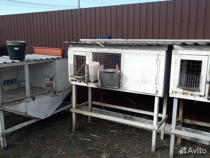 Клетка для кролика