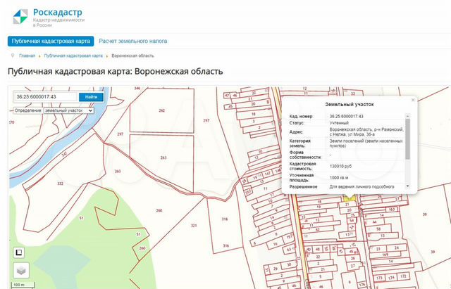 Кадастровая карта русская гвоздевка