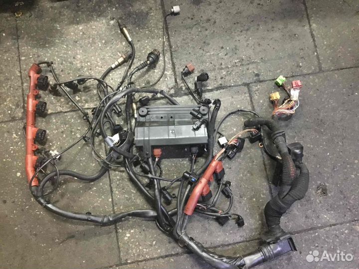 Проводка двигателя Ауди А8 Bvj Bvj
