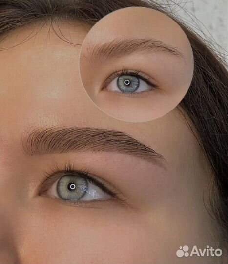 Мастер бровист