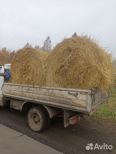 Продам. Дрова. Продам Солому