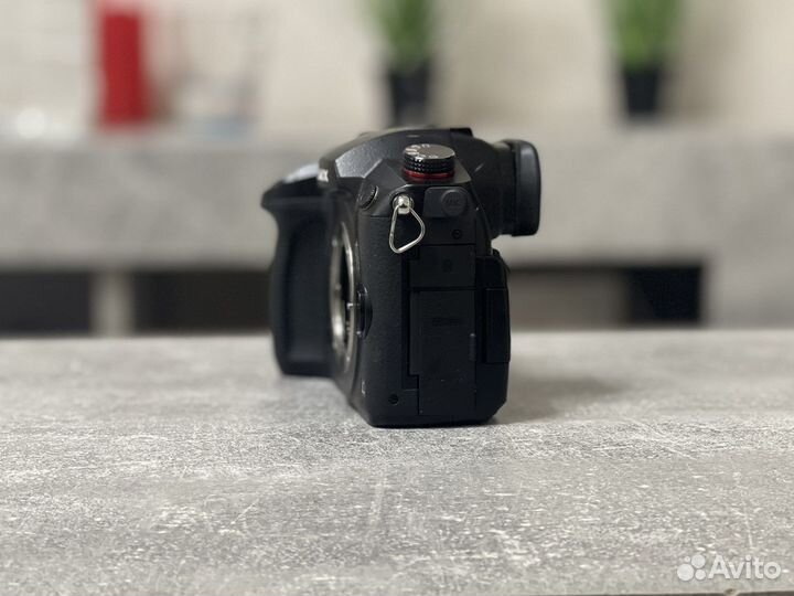 Panasonic lumix gh5s