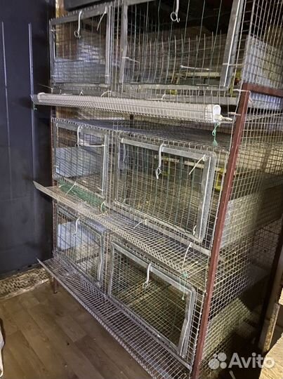 Клетки для кур, кроликов