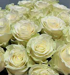 Белые розы оптом со склада