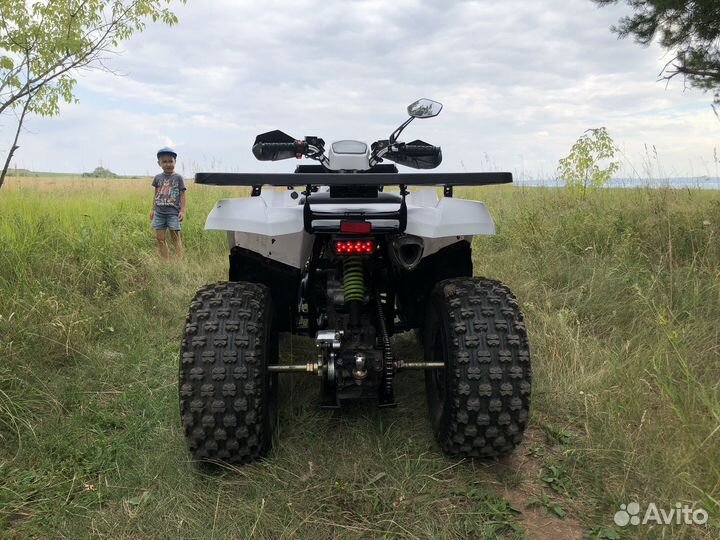 Avantis Hunter 200 New LUX