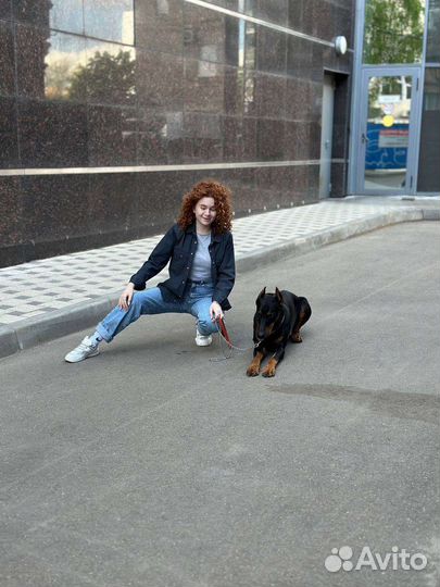 Фотосессия с доберманом