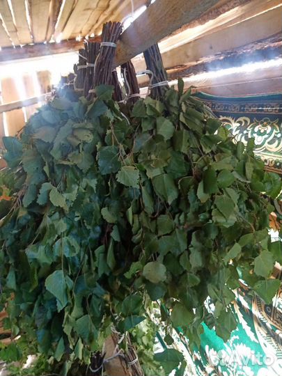 Веники для бани Берёзовые опт