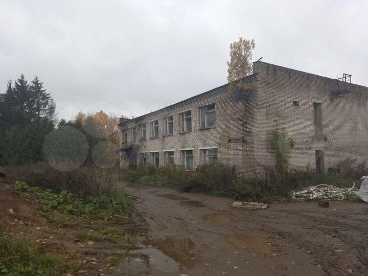 Участок 100 сот. (СНТ, ДНП)