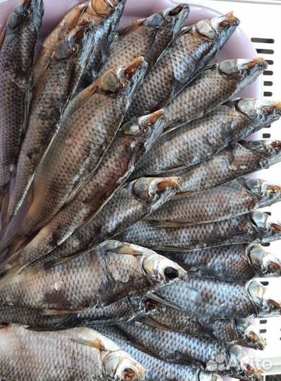 Вобла вяленая астраханская, апрель 2024