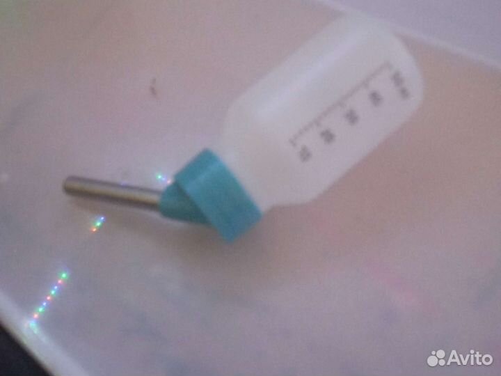 Контейнер для хомячка со всеми вещями к