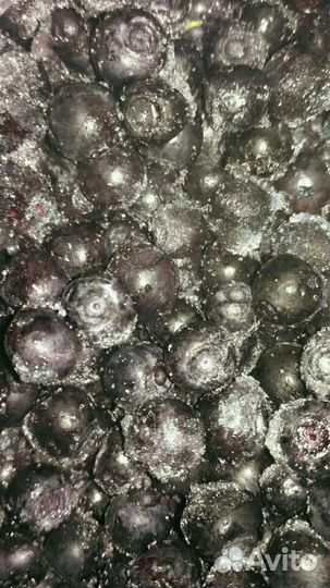 Черника замороженная