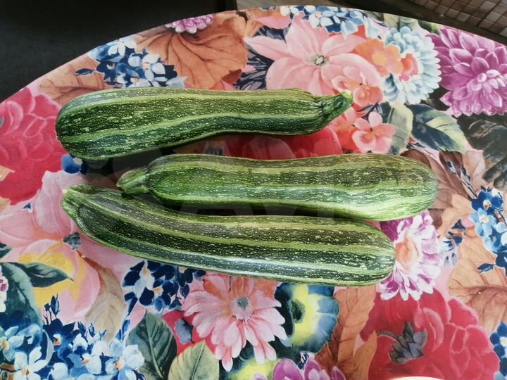 Дача 25 м² на участке 6 сот.