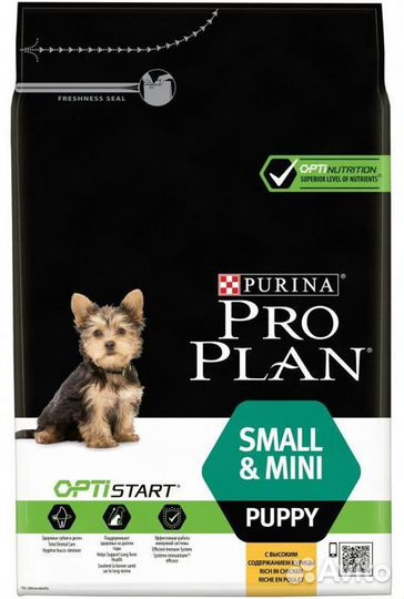 Про план для щенков