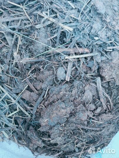 Навоз козий