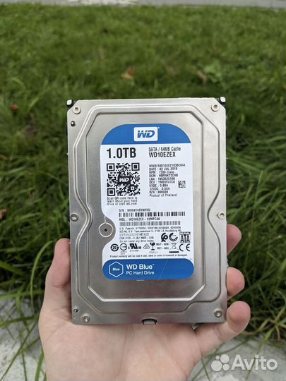 Жесткий диск 1 тб WD blue