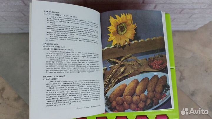 Р.А.Гаевая, М.А.Ященко 