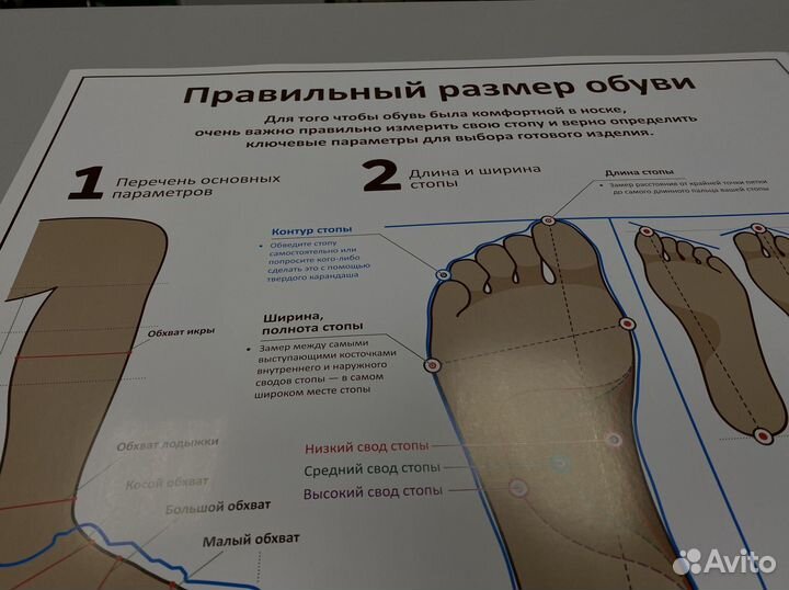 Плакат «Размер обуви» А1