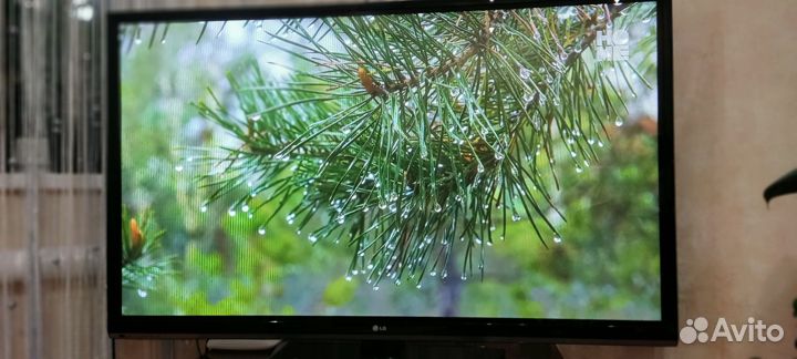 Телевизо LG 50pa4510
