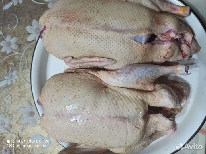 Гуси и утки тушки