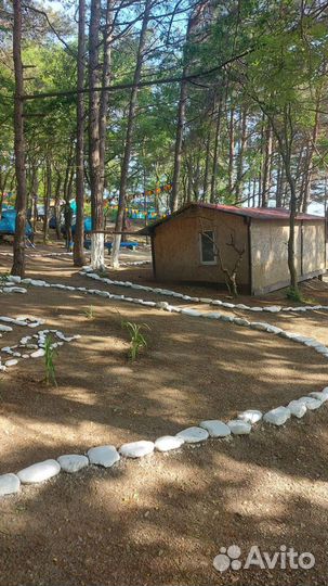 Море, отдых сезон 2024 года